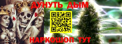 дмт Пенза