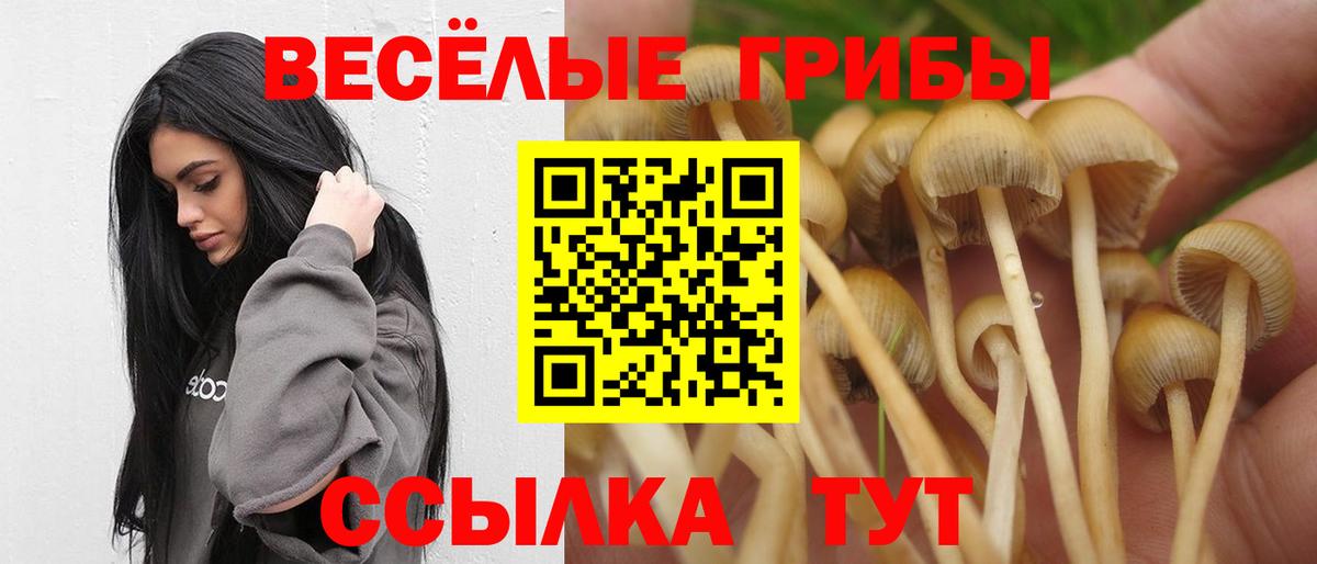 Галлюциногенные грибы прущие грибы  дарнет шоп  Ростов-на-Дону  Вход с VPN 