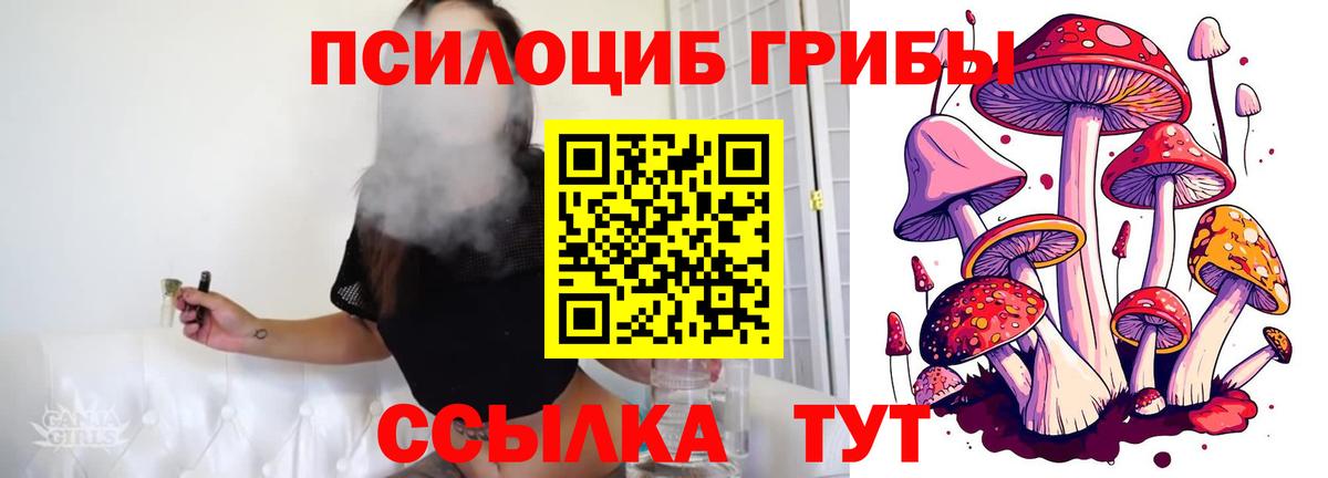 Галлюциногенные грибы MAGIC MUSHROOMS Ростов-на-Дону